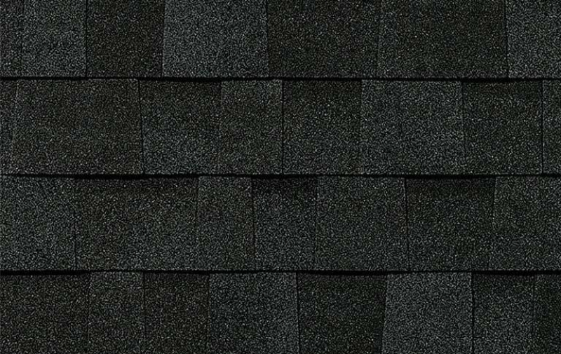 OnyxBlack TruDefinition Duration Shingles