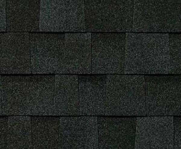 OnyxBlack TruDefinition Duration Shingles